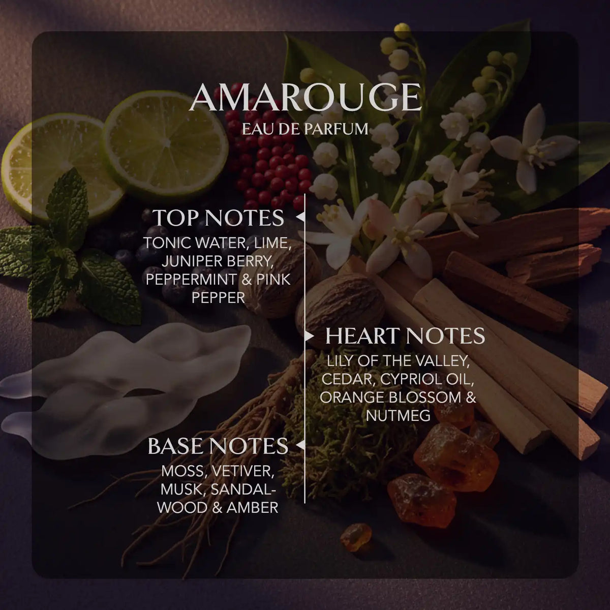 Amarouge luxury perfume for him stating fragrance notes such as lime, juniper berry, peppermint and pink pepper as top notes, cedar, orange blossom as heart notes, and moss, vetiver, musk, sandalwood and amber  as base notes