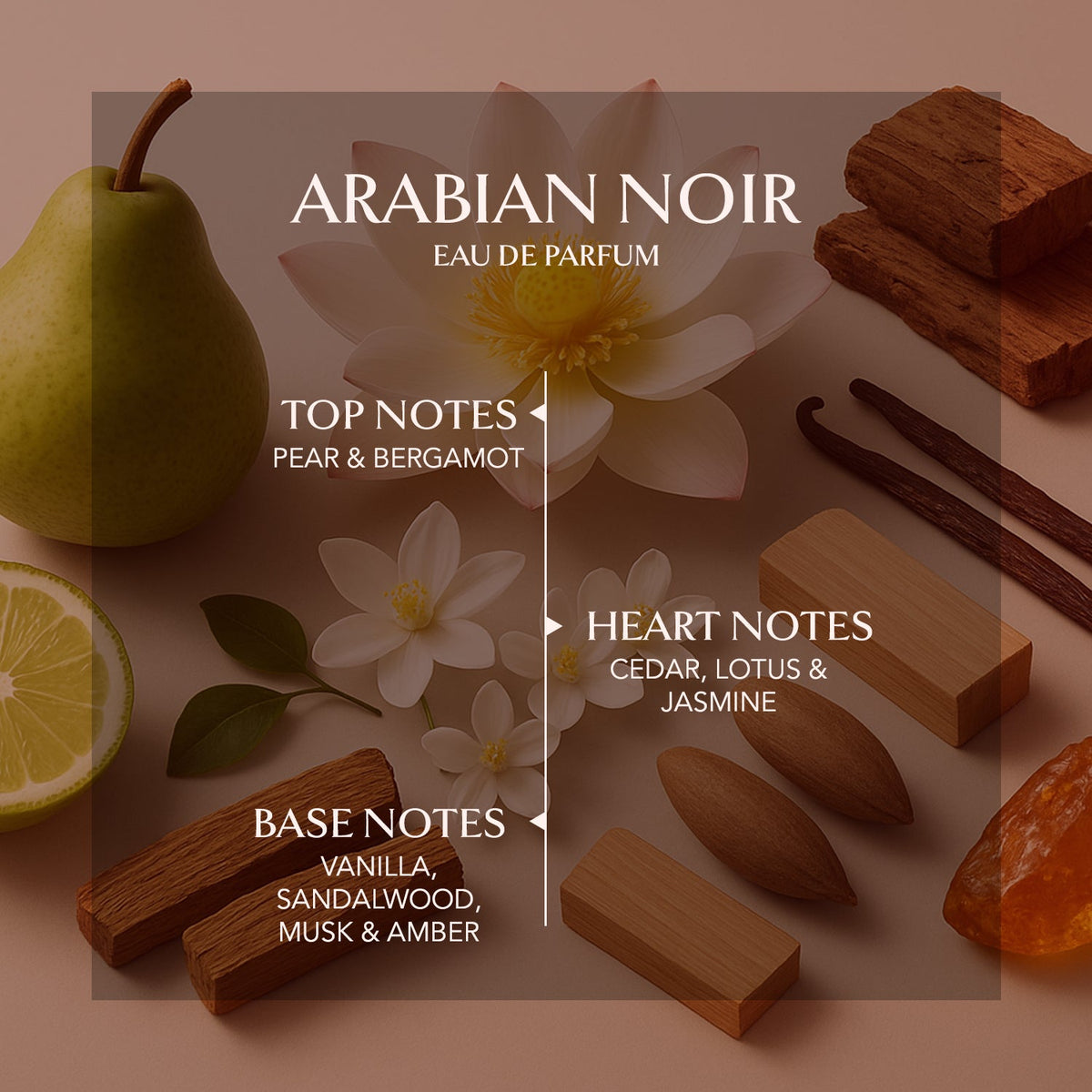 Arabian Noir luxury perfume for him stating fragrance notes such as pear &amp; bergamot as top notes, cedar, lotus and jasmine as heart notes, and vanilla, sandalwood, musk and amber as base notes