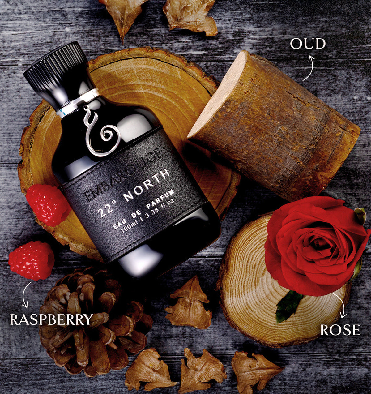 Embarouge 22 North Luxury perfume for him with perfume notes mentioned such as Raspberry, oud and Rose